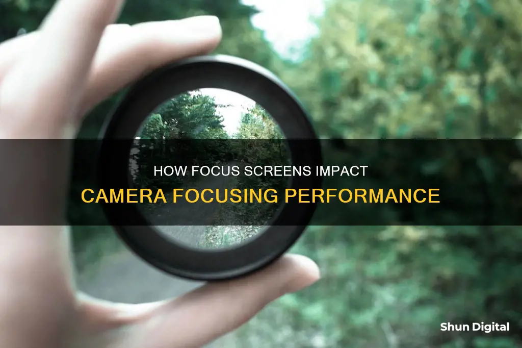 does your focus screen afect how your camera focuses