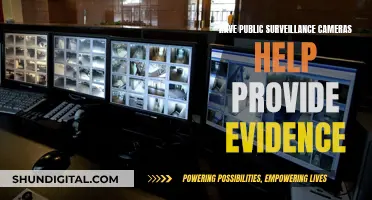 Surveillance Cameras: Evidence-Gathering Heroes