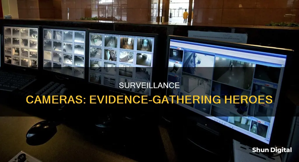 have public surveillance cameras help provide evidence