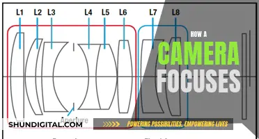 Mastering Camera Focus: The Science Behind Sharp Images