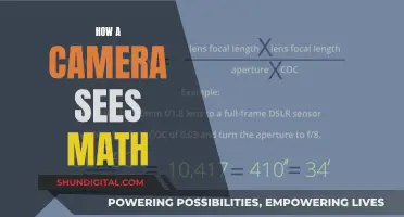 Math Through a Camera's Eye: Capturing the Invisible