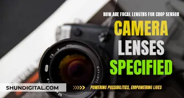 Understanding Crop Sensor Camera Lenses Focal Lengths