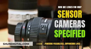 Lens Specification for Crop Sensor Cameras: What You Need to Know