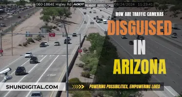 Traffic Cameras in Arizona: Disguised and Unseen