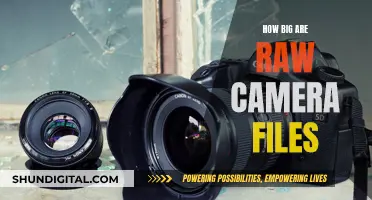 Understanding the Size of Raw Camera Files