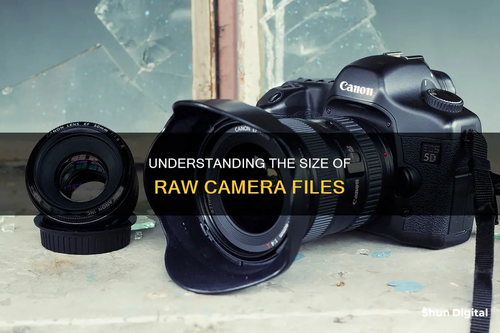 how big are raw camera files