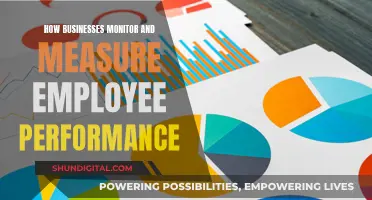 Measuring Employee Performance: Strategies for Business Success