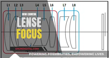 The Magic of Camera Lenses: Capturing Focus