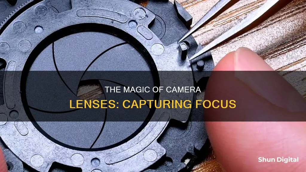 how camera lense focus