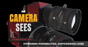 The Camera's Unique Perspective: Unveiling Its Vision