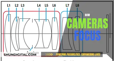 The Magic Behind Camera Focus: How Does It Work?