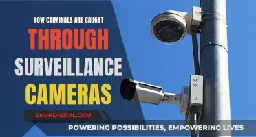 Surveillance Cameras: Catching Criminals in the Act