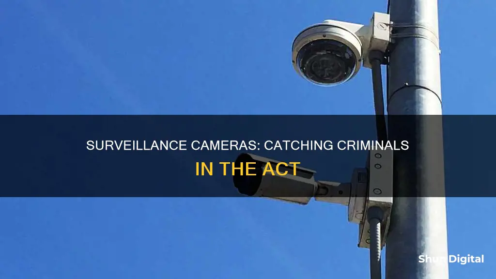 how criminals are caught through surveillance cameras