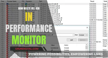 Performance Monitor: Freeing Up DLLs