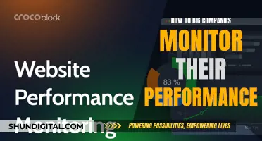 Performance Monitoring Strategies of Big Businesses