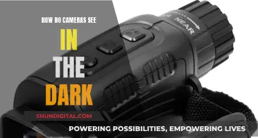 Cameras' Night Vision: Unlocking the Secrets of Dark Photography