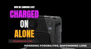 Alone: Keeping Cameras Charged for Long-Term Survival