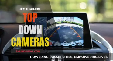 Top-Down Cameras: Cara's Secret Superpower