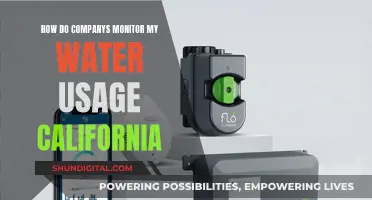 Water Usage Monitoring in California: How Does It Work?