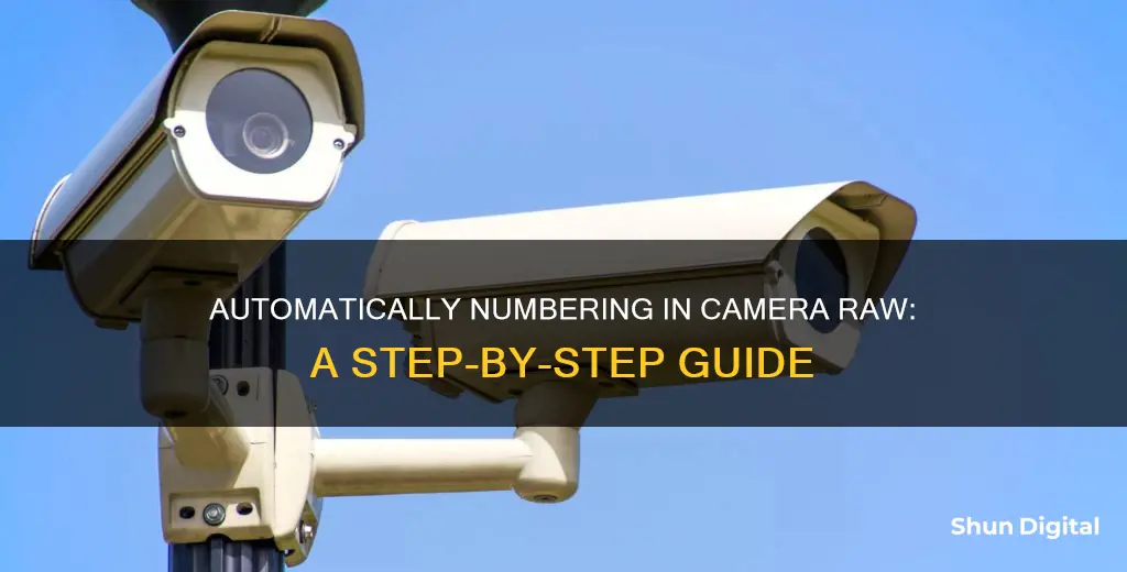 how do I automatically number in camera raw