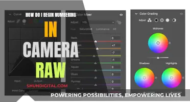 Numbering Images in Camera Raw: A Beginner's Guide