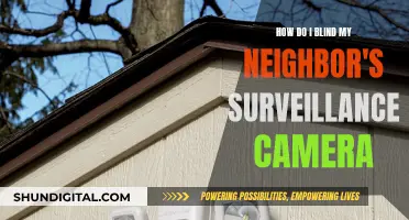 Blind Your Neighbor's Surveillance Camera: Quick and Easy Methods