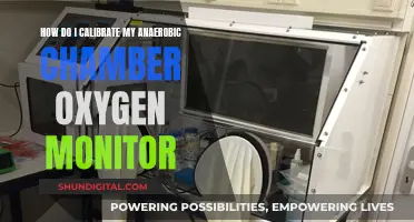 Calibrating Anaerobic Chamber Oxygen Monitors: A Step-by-Step Guide