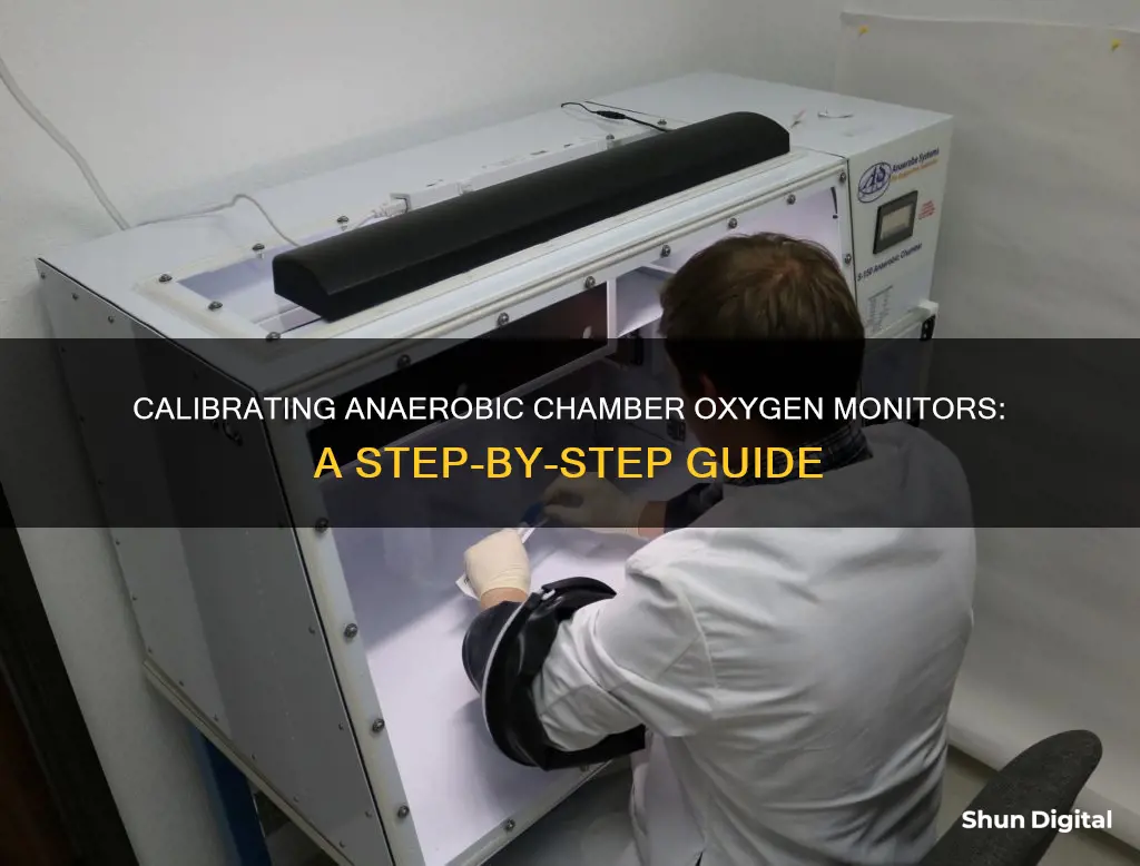 how do i calibrate my anaerobic chamber oxygen monitor