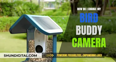 Charging Your Bird Buddy Camera: A Quick Guide