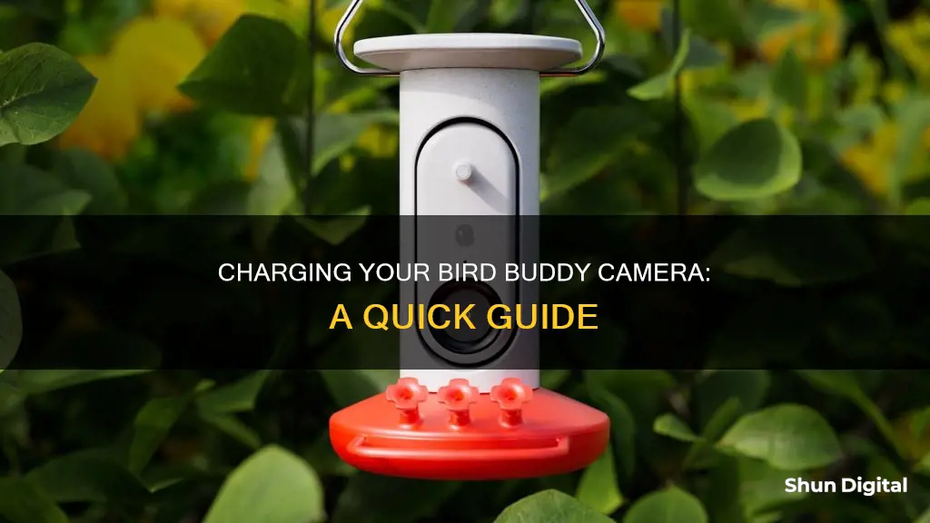 how do I charge my bird buddy camera