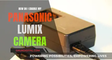 Charging Your Panasonic Lumix: A Step-by-Step Guide