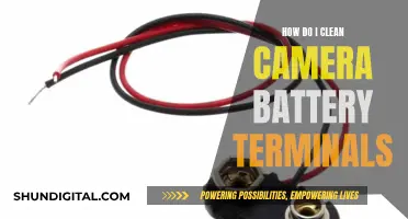 Cleaning Camera Battery Terminals: A Step-by-Step Guide