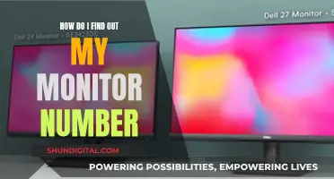 Easy Ways to Identify Your Monitor's Model Number