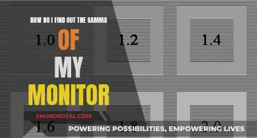 Calibrating Your Monitor: Understanding Gamma for Accurate Colors