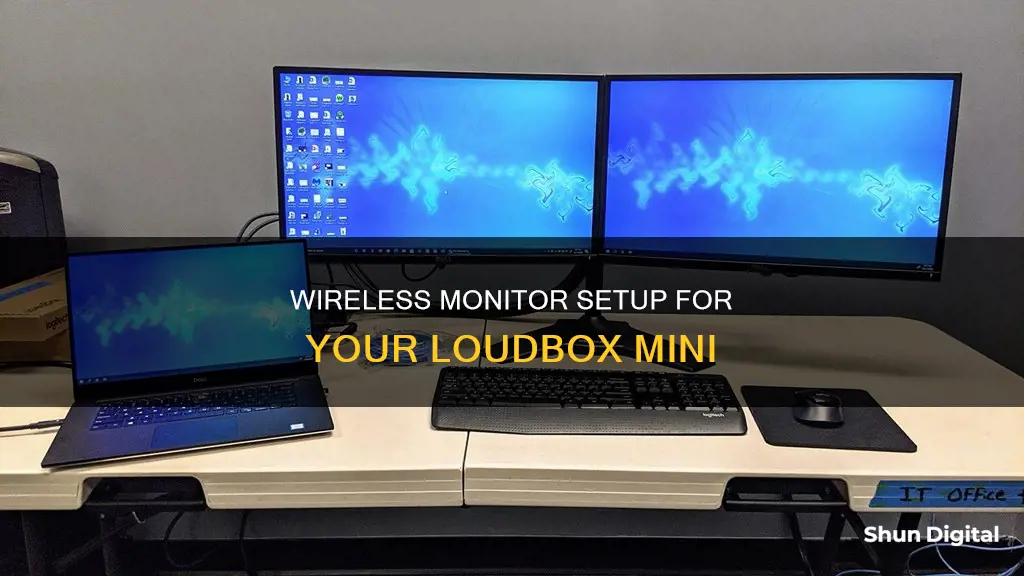 how do i hook wireless monitor to loudbox mini