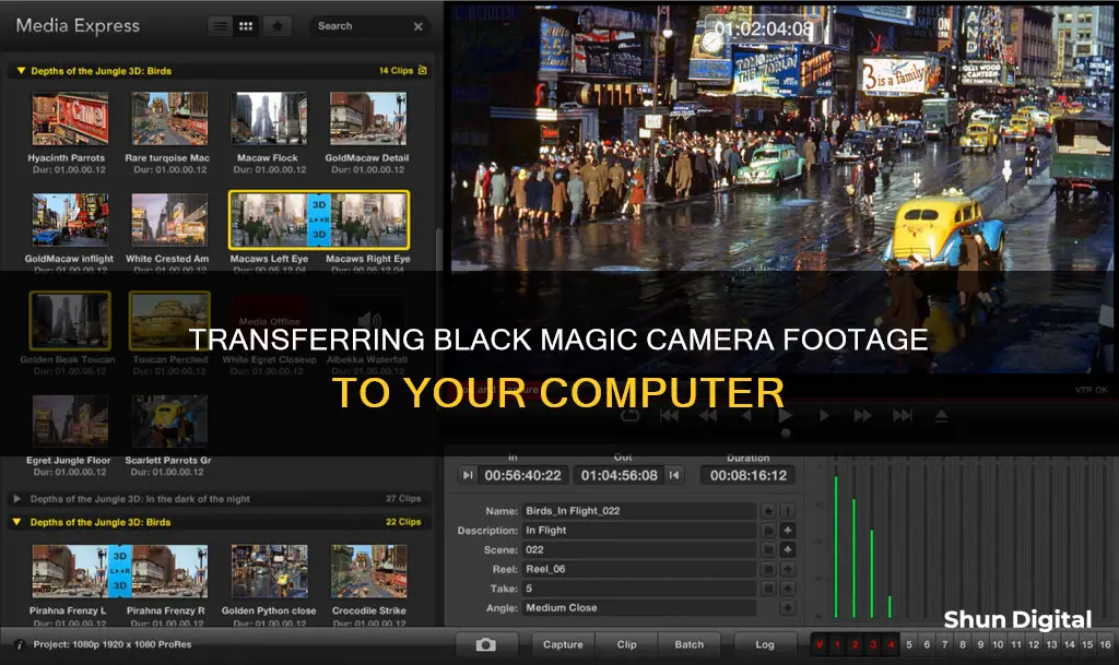 how do I import from black magic camera onto computer