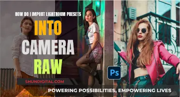 Lightroom Presets: Importing into Camera Raw