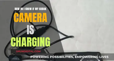 Kodak Camera Charging: How to Know It's Charging?