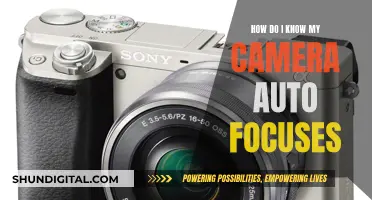 Mastering Auto-Focus: A Guide to Camera Auto-Focusing