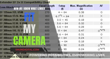 Choosing the Right Lenses for Your Camera