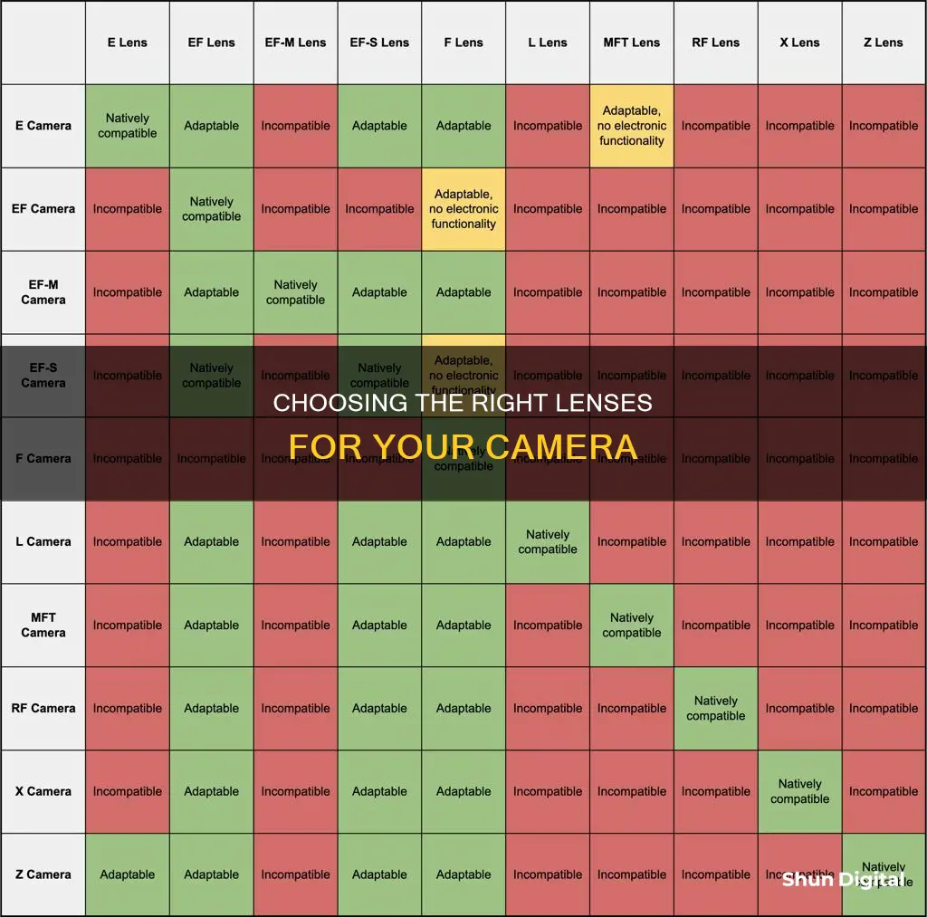 how do I know what lenses fit my camera