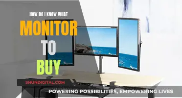 Choosing the Right Monitor: A Buyer's Guide