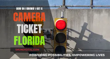 Understanding Florida Camera Tickets: What You Need to Know