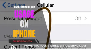 Monitoring Data Usage on iPhone: Tips and Tricks