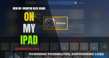 Monitoring Data Usage on Your iPad: A Guide