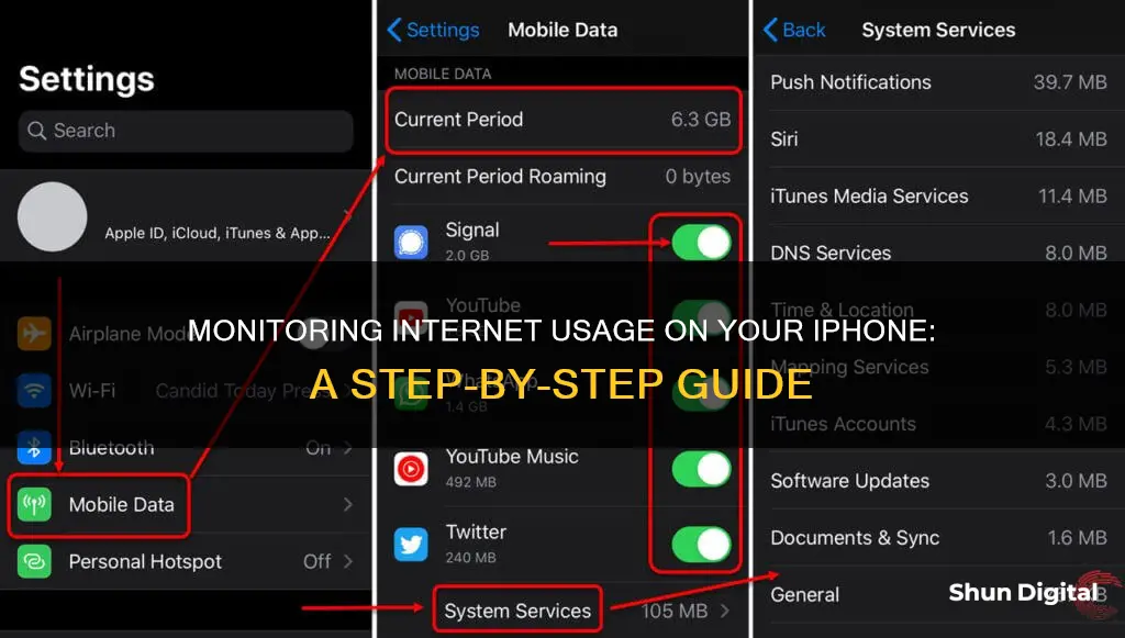 how do i monitor my internet usage on my iphone