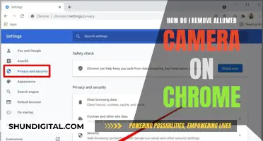 Removing Allowed Camera Access on Chrome: A Step-by-Step Guide