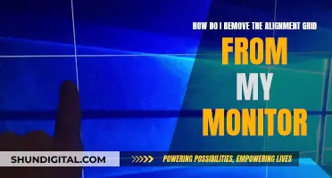 Monitor Alignment Grid: Removal Steps for a Clear View