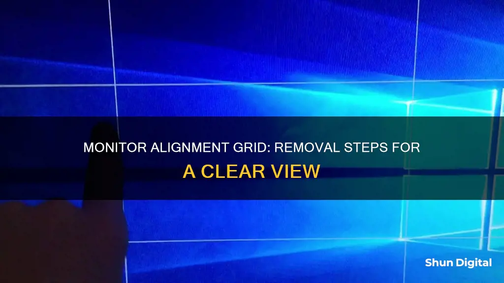 how do i remove the alignment grid from my monitor