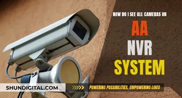 Exploring NVR Systems: Viewing All Cameras